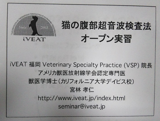 画像診断 – 立川市の動物病院 犬・猫の病気や予防接種に-マミー動物病院